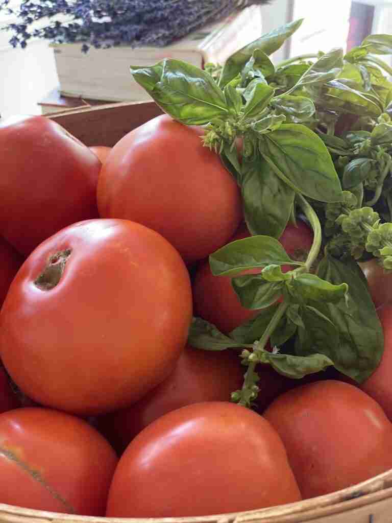 a bowl of tomatoes and basil