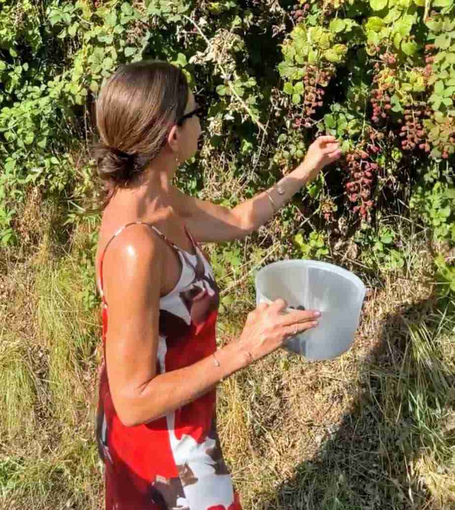 Caterina picking berries in France